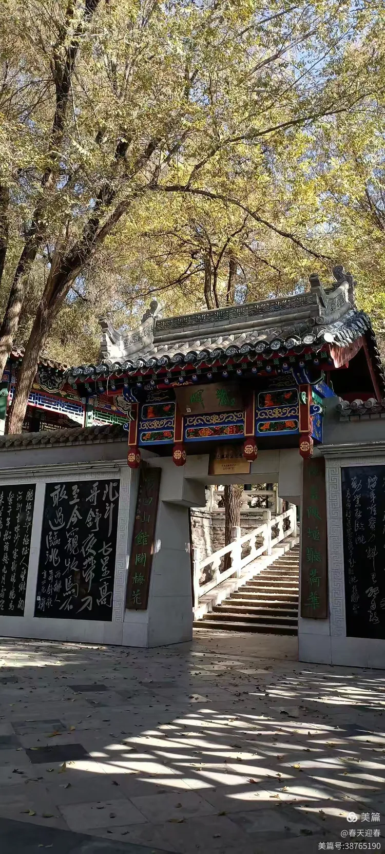 临洮县岳麓山位于临洮县从东,因宋代山上建有东岳庙而得名,至今有一千